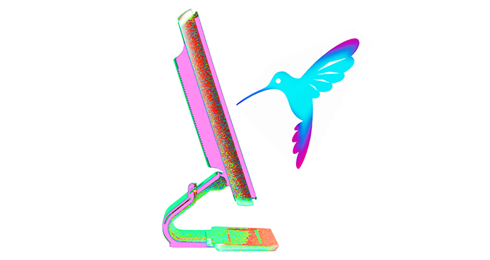 hummingbird